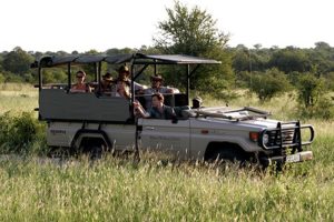 south Africa safari lodges