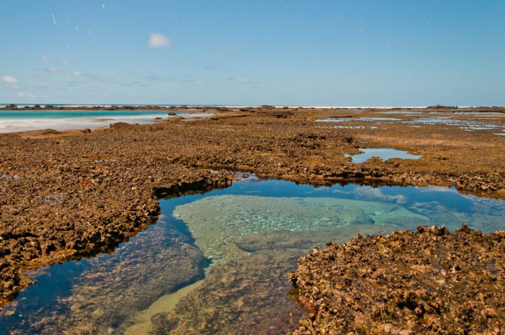 Rock pools at Mabibi - photograph by Carl Moller