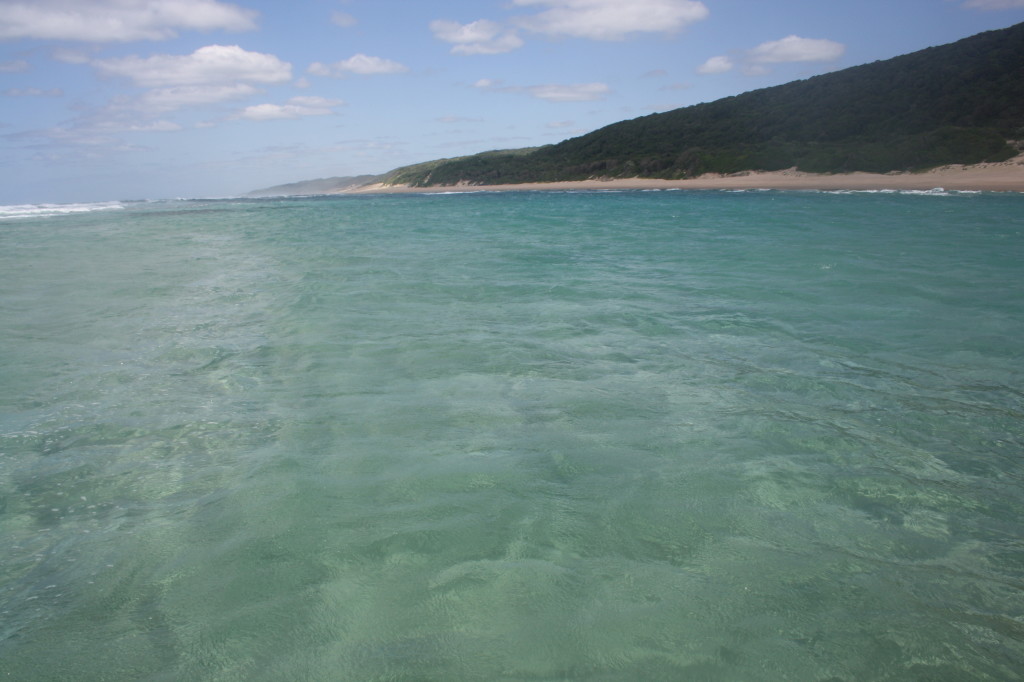 Thonga blue seas stretch before us, calm and inviting at low tide