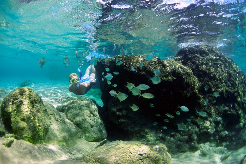 Snorkelling