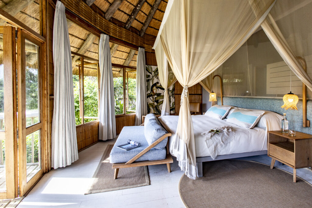 Unique Forest View Room - Thonga Beach Lodge