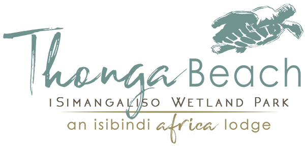ISIBINDI_Thonga-Beach-Lodge-Logo