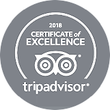 https://www.thongabeachlodge.co.za/wp-content/uploads/sites/15/2019/01/tripadvisor-grey.png