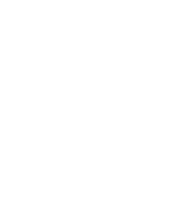 south-africas-leading-beach-hotel-2024-winner-shield-white-256