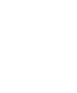 south-africas-leading-beach-hotel-2025-winner-shield-white-256