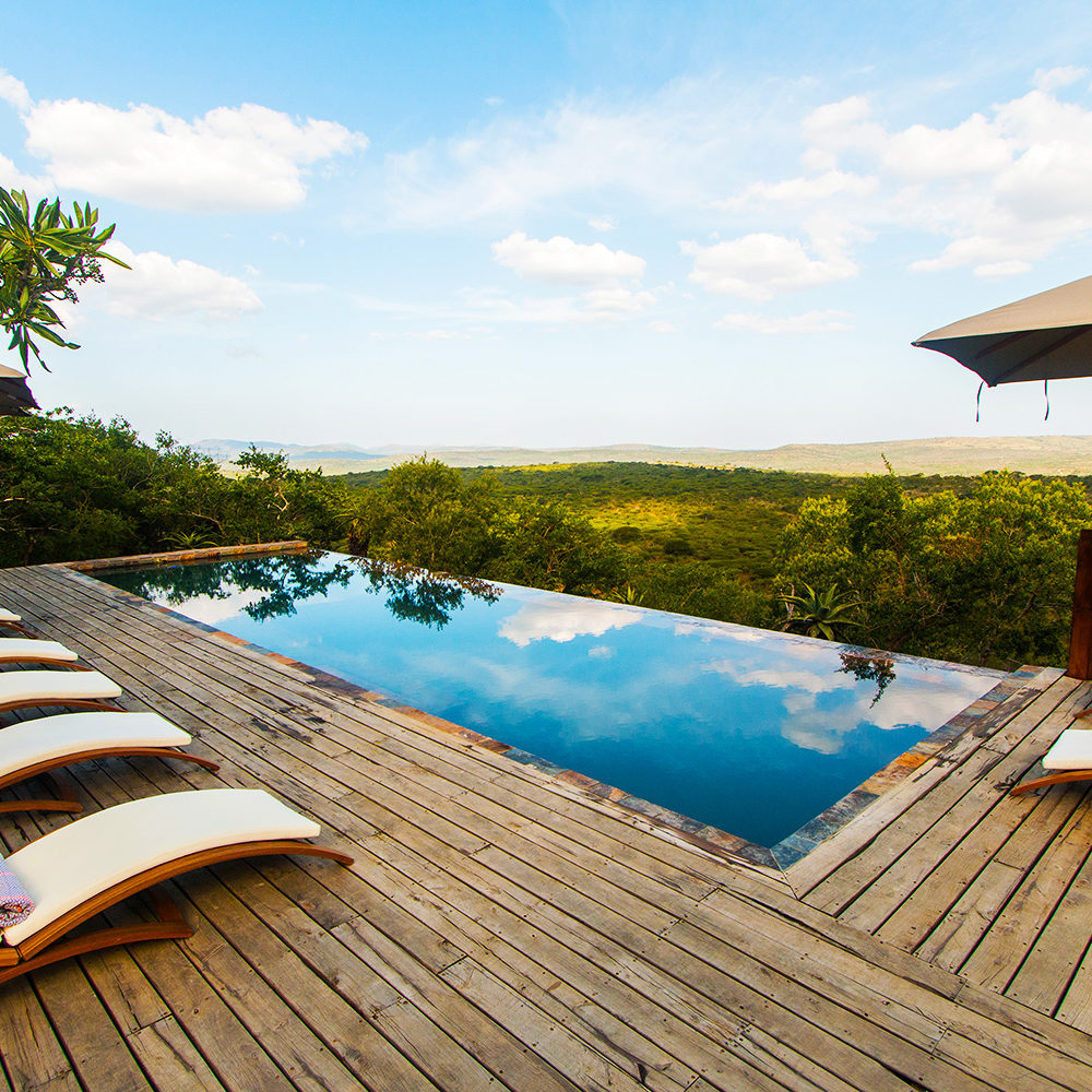 Rhino Ridge Swimming Pool Rhino Ridge Swimming Pool