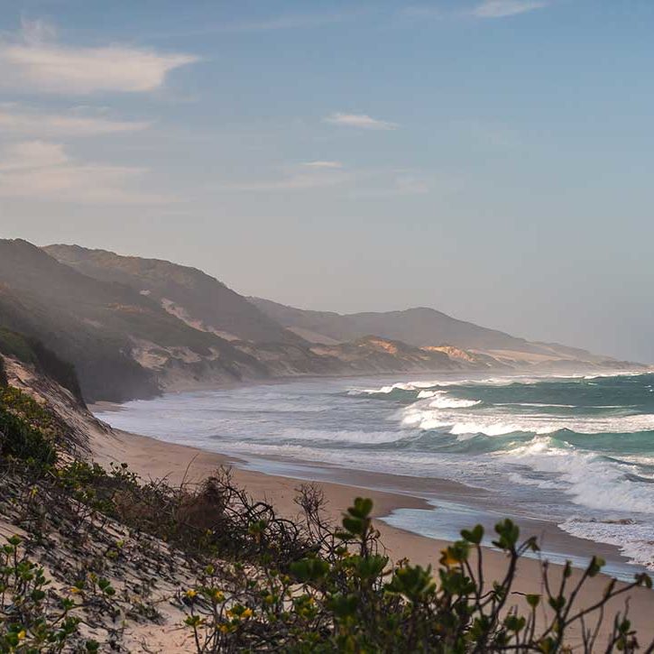 TBL-Dunes-and-Ocean