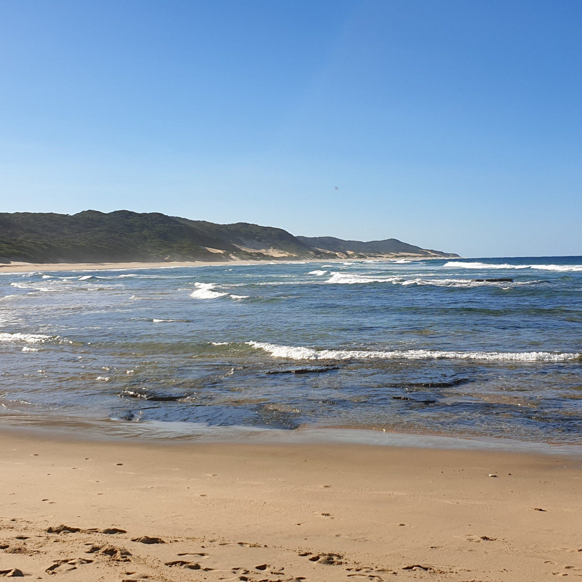 ThongaBeach-duinen-strand.jpg-nggid03832-ngg0dyn-2940x1960x100-00f0w010c010r110f110r010t010