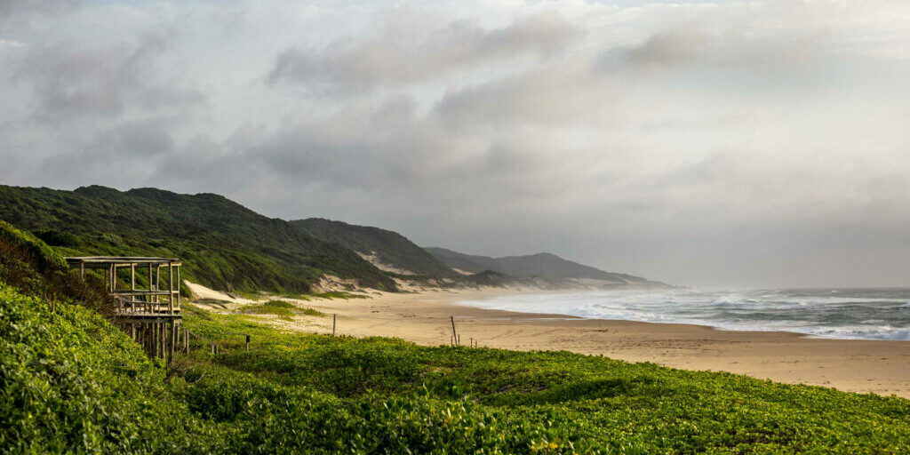 low-res_12A1037_1920px low-res_12A1037_1920px