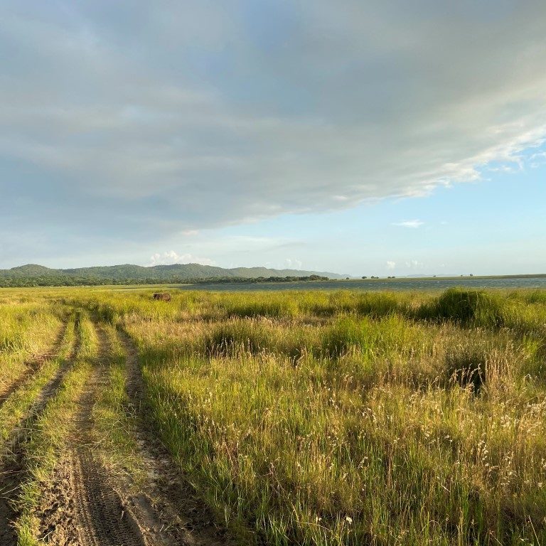 thonga-beach-lodge-lake-sibaya